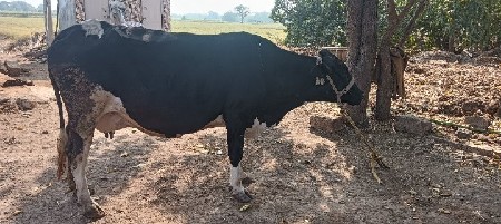 थंबनेल 2