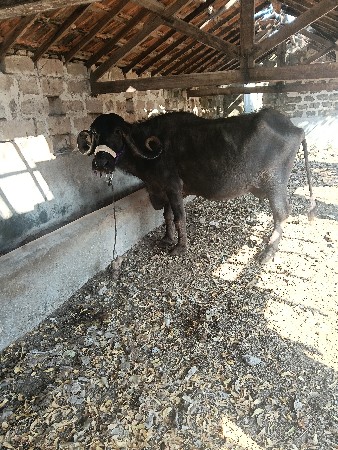 थंबनेल 2