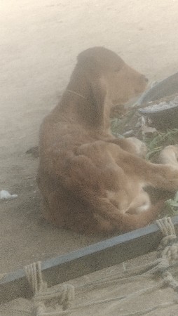 थंबनेल 2