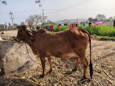 थंबनेल 2