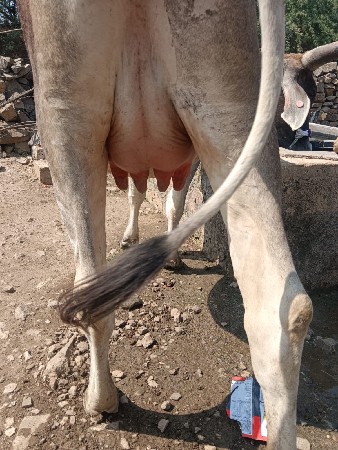 थंबनेल 2