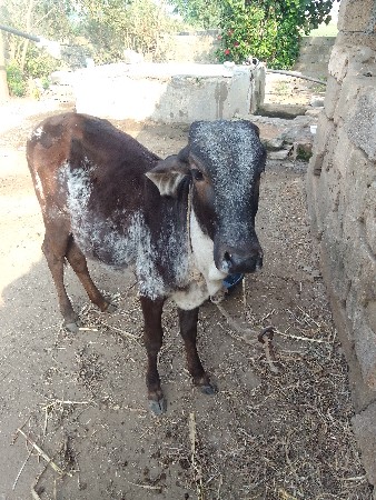 थंबनेल 3