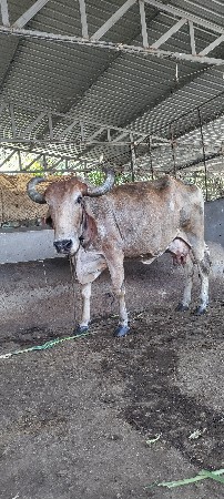 थंबनेल 2