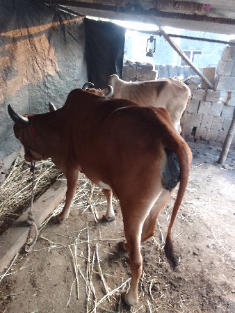 थंबनेल 3