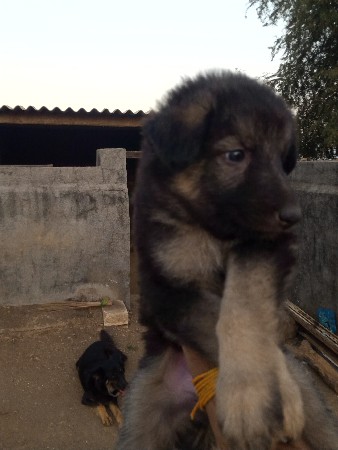 थंबनेल 3