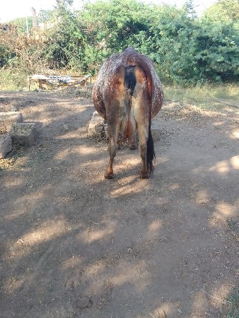 थंबनेल 2