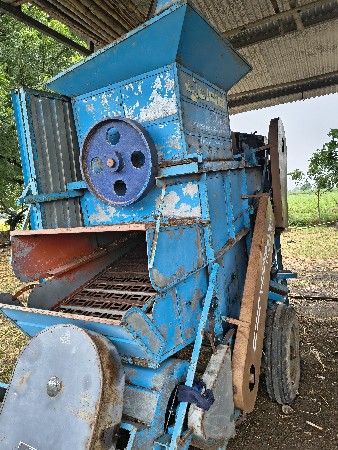 શીંગ, ચણા, તુવેર, મગ નીકળે છે