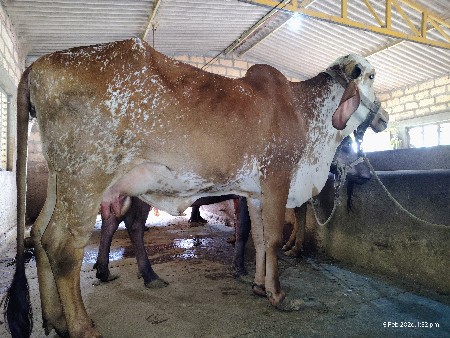 थंबनेल 2