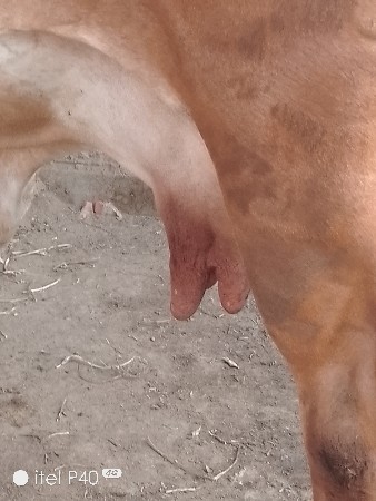 थंबनेल 2