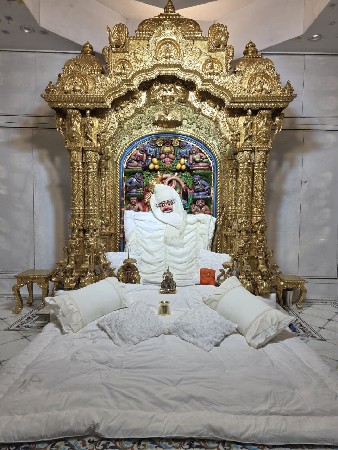 ગાય ભેંસ ના તબેલા માટે