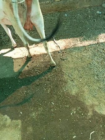 थंबनेल 3