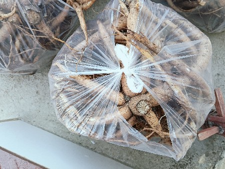 ગરમળ વેચવાની છે