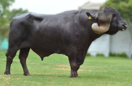 थंबनेल 4