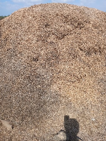 માંડવીયુ  કોરું છે 10 વીઘા નું છે