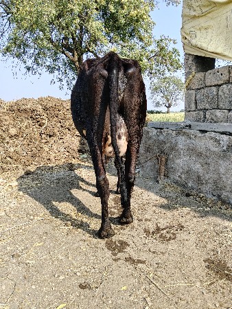 थंबनेल 2