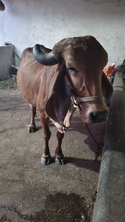 थंबनेल 2