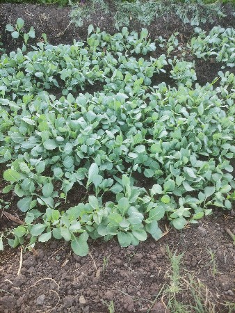 થંબનેલ 2