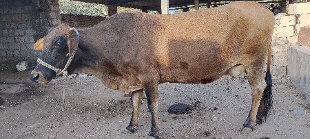 थंबनेल 2