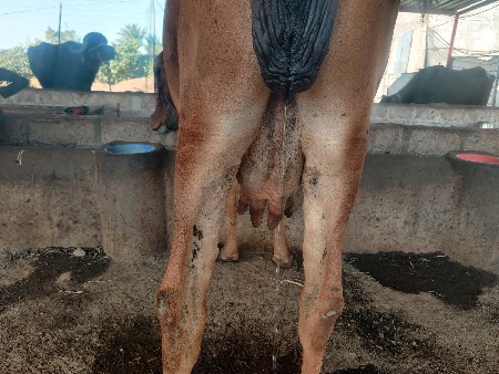 થંબનેલ 3