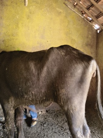 थंबनेल 2