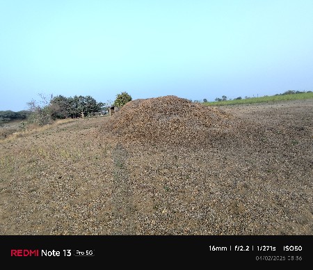 માંડવી નો ભૂકો વેચવા નો છે.