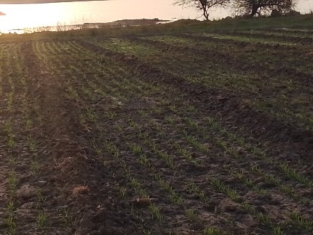 આ સંપાદન વાળી જમીન વેચવાની છે