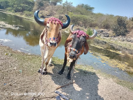 थंबनेल 2