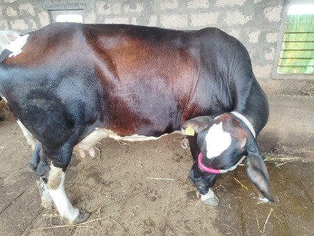 थंबनेल 3