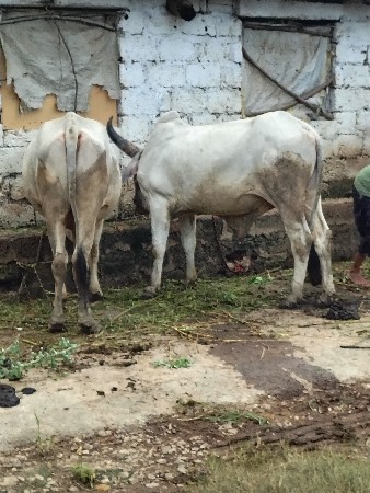 थंबनेल 2