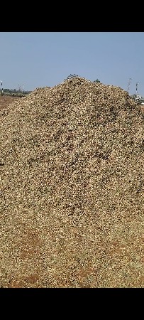 તુવેર નો ચારો વેચવાનો છે