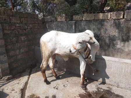 थंबनेल 2