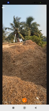 માડવી નુ મોગોટુ વેસવાનુ સે