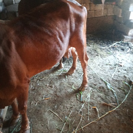 થંબનેલ 2