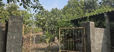 આંબા ની બાગ તેમજ તબેલા માટે