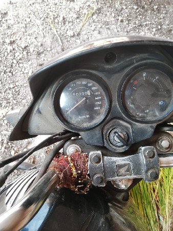 थंबनेल 3