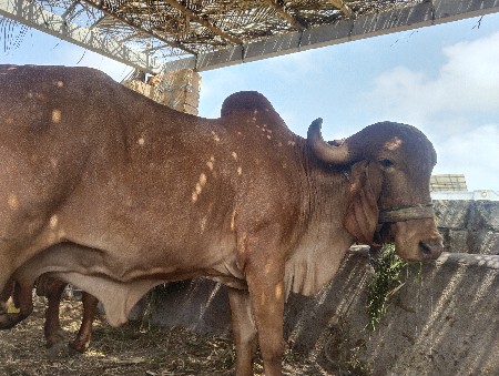 थंबनेल 2