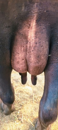 थंबनेल 2