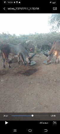 નાથાહમીરલાલકા