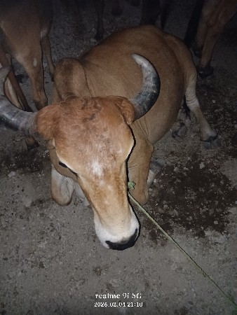 थंबनेल 2