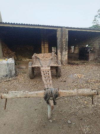 રેકડો સાગનો વેચવાનો છે