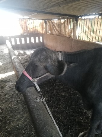 थंबनेल 2