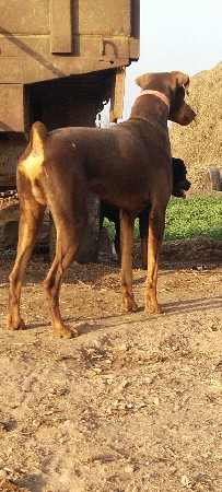 थंबनेल 3