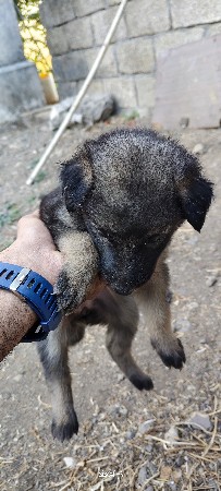 થંબનેલ 3