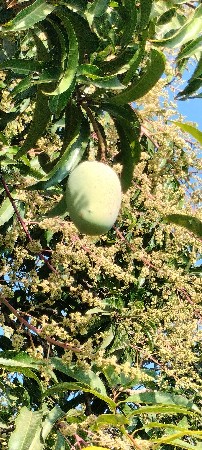 જમીન વેચી દેવાની છે