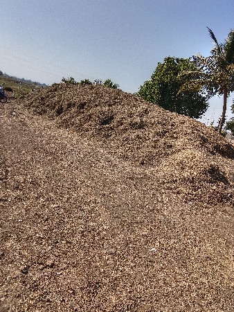 માંડવી નો ભુક્કો વેચવાનું છે