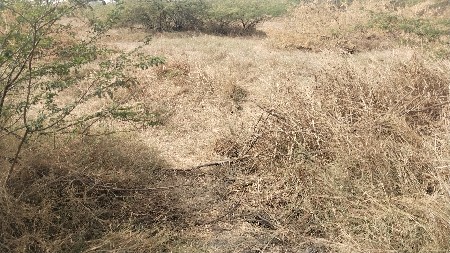 જમીન વેચવાની છે 
ગામ :- હરોડા,
તાલ