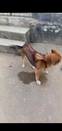 थंबनेल 3