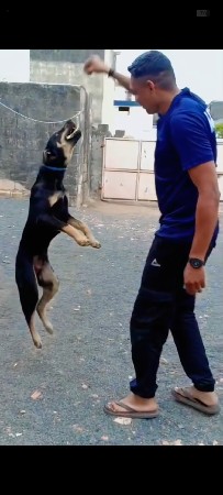 थंबनेल 3