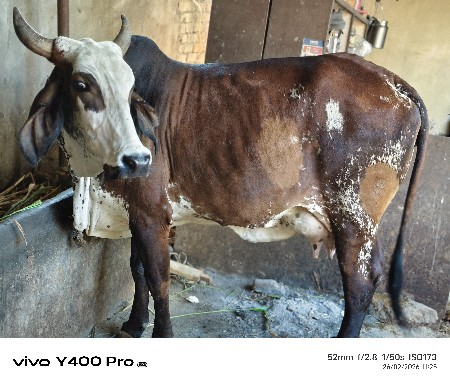 थंबनेल 3