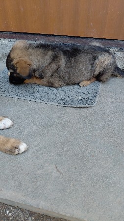 થંબનેલ 2